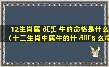 12生肖属 🦟 牛的命格是什么（十二生肖中属牛的什 🐧 么命运）